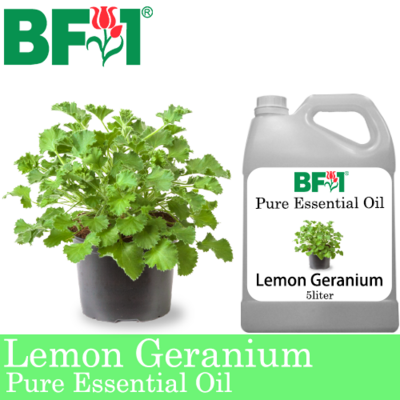 Pure Essential Oil (EO) - Geranium - Lemon Geranium Essential Oil - 5L