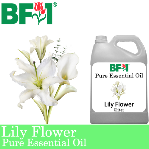 Pure Essential Oil (EO) - Lily Flower Essential Oil - 5L