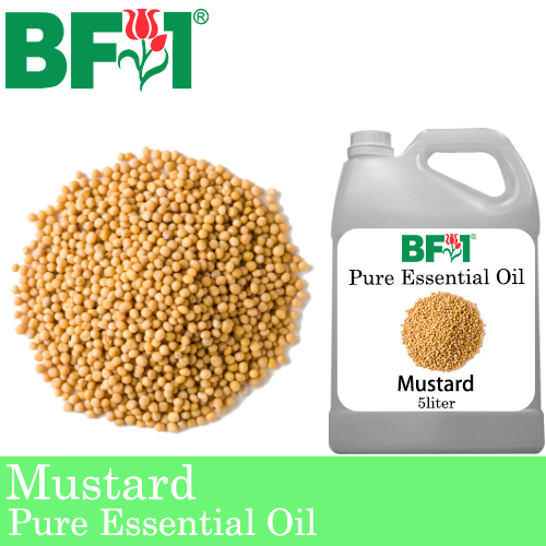 Pure Essential Oil (EO) - Mustard Essential Oil - 5L