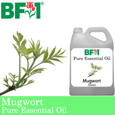 Pure Essential Oil (EO) - Mugwort Essential Oil - 5L