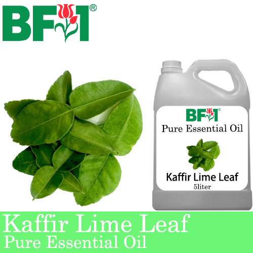 Pure Essential Oil (EO) - Lime - Kaffir Lime Leaf Essential Oil - 5L