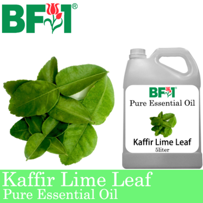 Pure Essential Oil (EO) - Lime - Kaffir Lime Leaf Essential Oil - 5L