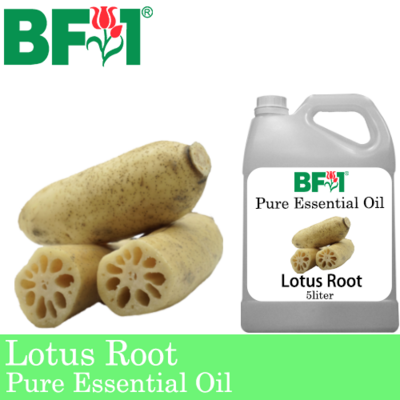 Pure Essential Oil (EO) - Lotus Root Essential Oil - 5L