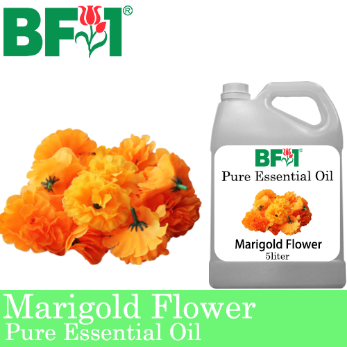 Pure Essential Oil (EO) - Marigold Flower Essential Oil - 5L