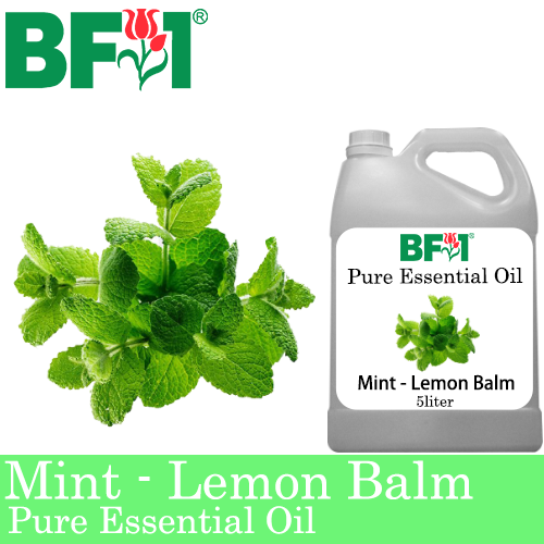 Pure Essential Oil (EO) - Mint - Lemon Balm ( Melissa Officinalis ) Essential Oil - 5L