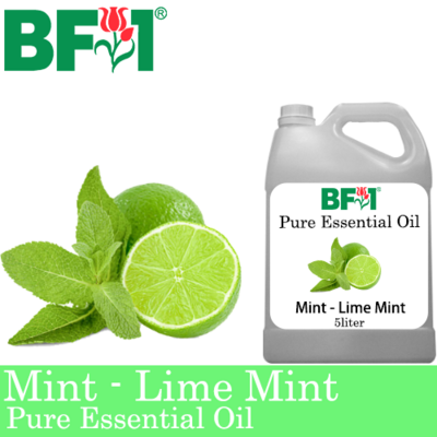 Pure Essential Oil (EO) - Mint - Lime Mint Essential Oil - 5L