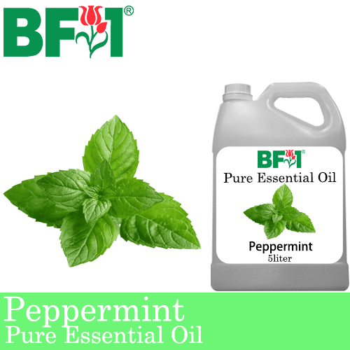 Pure Essential Oil (EO) - Mint - Peppermint ( Mentha Piperita ) Essential Oil - 5L