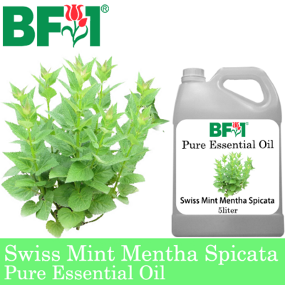Pure Essential Oil (EO) - Mint - Swiss Mint ( Mentha Spicata ) Essential Oil - 5L