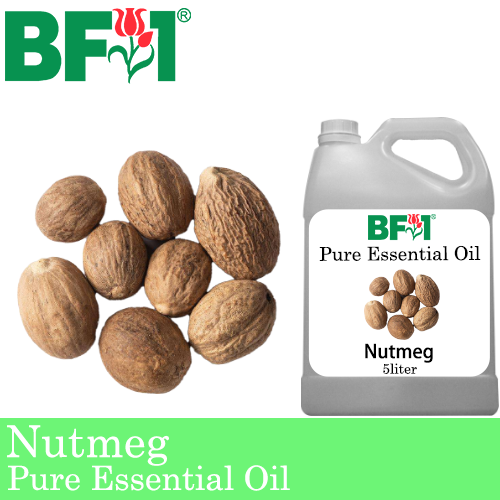 Pure Essential Oil (EO) - Nutmeg Essential Oil - 5L