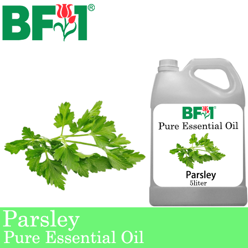 Pure Essential Oil (EO) - Parsley Essential Oil - 5L