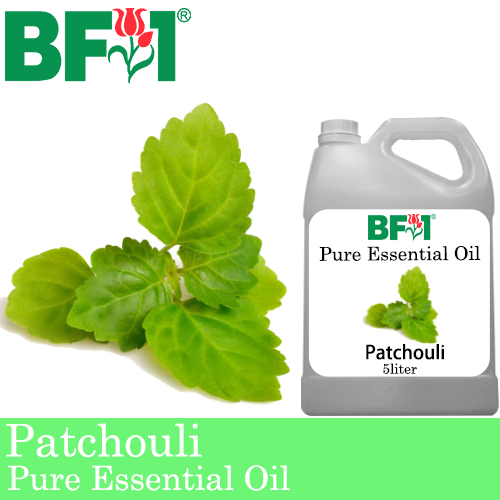 Pure Essential Oil (EO) - Patchouli Essential Oil - 5L