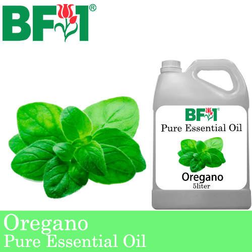 Pure Essential Oil (EO) - Oregano ( Origanum Vulgare ) Essential Oil - 5L