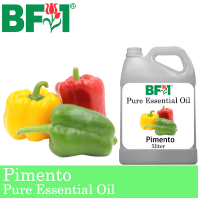 Pure Essential Oil (EO) - Pimento Essential Oil - 5L