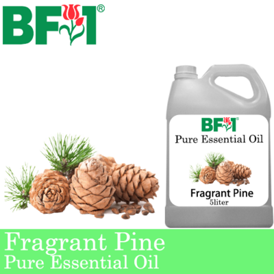 Pure Essential Oil (EO) - Pine - Fragrant Pine Essential Oil - 5L