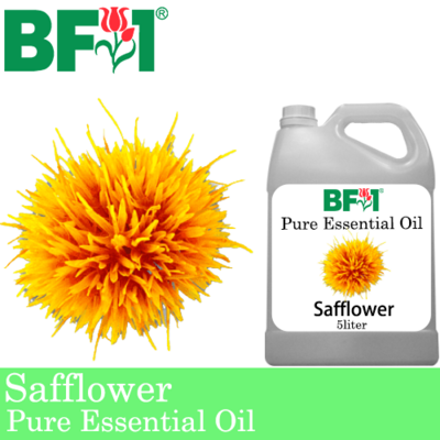Pure Essential Oil (EO) - Safflower (Carthamus Tinctorius) Essential Oil - 5L