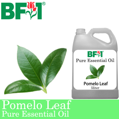 Pure Essential Oil (EO) - Pomelo Leaf Essential Oil - 5L