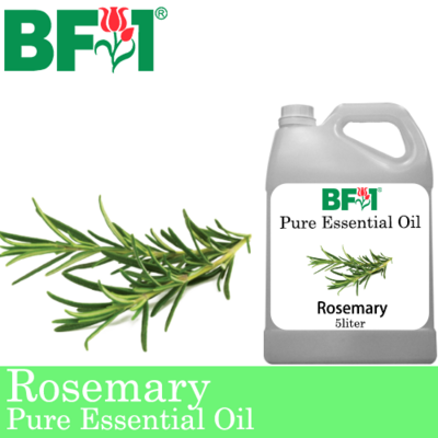 Pure Essential Oil (EO) - Rosemary Essential Oil - 5L