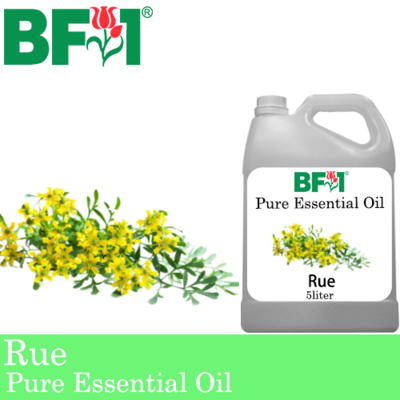 Pure Essential Oil (EO) - Rue ( Ruta Graveolens ) Essential Oil - 5L