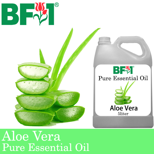 Pure Essential Oil (EO) - Aloe Vera Essential Oil - 5L