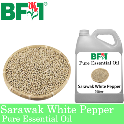 Pure Essential Oil (EO) - Pepper - Sarawak White Pepper Essential Oil - 5L