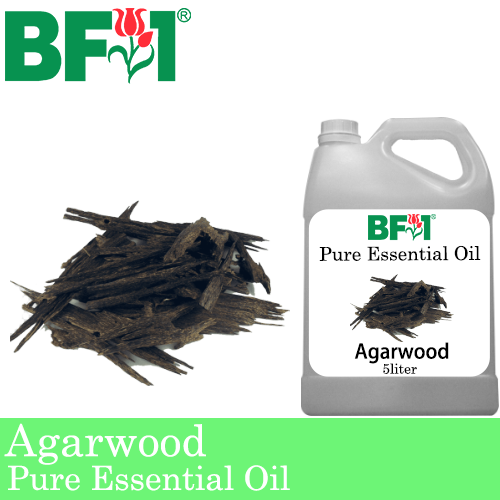 Pure Essential Oil (EO) - Agarwood Essential Oil - 5L