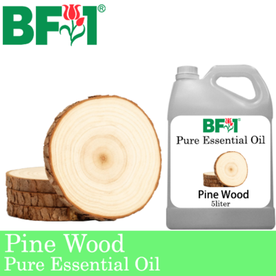 Pure Essential Oil (EO) - Pine - Pine Wood Essential Oil - 5L