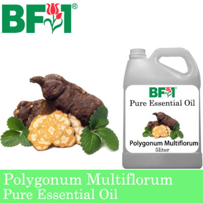 Pure Essential Oil (EO) - Polygonum Multiflorum Essential Oil - 5L