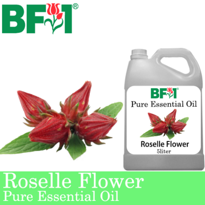 Pure Essential Oil (EO) - Roselle Flower Essential Oil - 5L