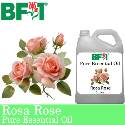 Pure Essential Oil (EO) - Rose - Rosa Rose Essential Oil - 5L