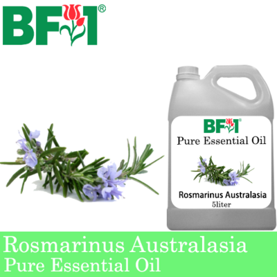 Pure Essential Oil (EO) - Rosmarinus Australasia Essential Oil - 5L