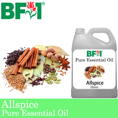 Pure Essential Oil (EO) - Allspice Essential Oil - 5L