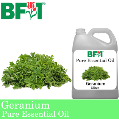 Pure Essential Oil (EO) - Geranium Essential Oil - 5L