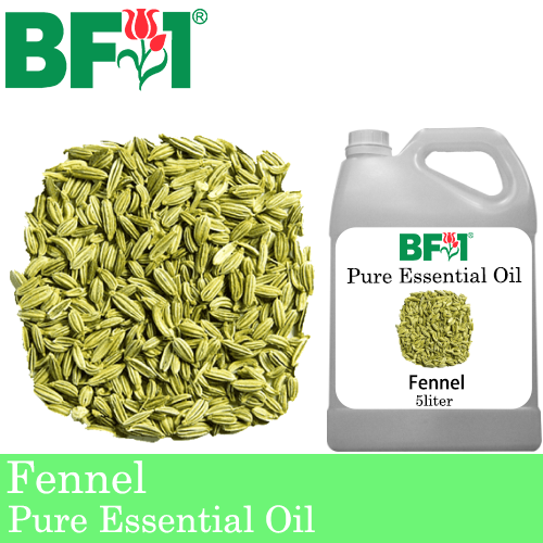 Pure Essential Oil (EO) - Fennel Essential Oil - 5L