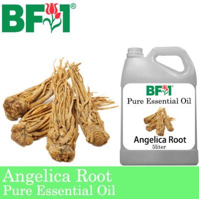 Pure Essential Oil (EO) - Angelica Root Essential Oil - 5L