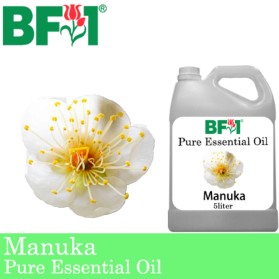 Pure Essential Oil (EO) - Manuka Essential Oil - 5L