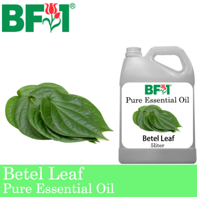 Pure Essential Oil (EO) - Betel Leaf ( Daun Sireh ) Essential Oil - 5L
