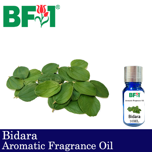 Aromatic Fragrance Oil (AFO) - Bidara - 10ml
