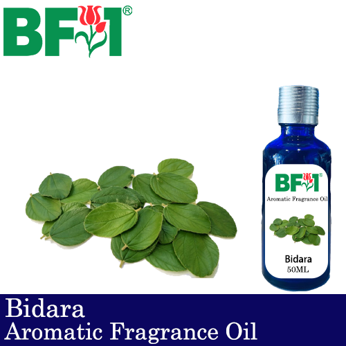 Aromatic Fragrance Oil (AFO) - Bidara - 50ml
