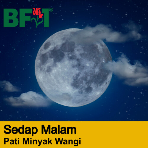 Sedap Malam - Pati Minyak Wangi Kasturi