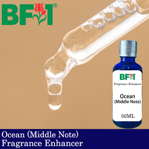 FE - Ocean (Middle Note) 50ml