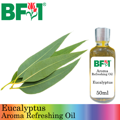 Aroma Refreshing Oil - Eucalyptus - 50ml