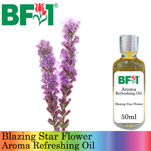 Aroma Refreshing Oil - Blazing Star Flower - 50ml