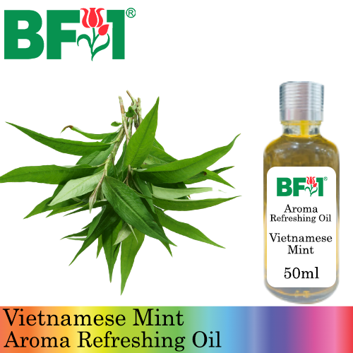 Aroma Refreshing Oil - Vietnamese Mint - 50ml