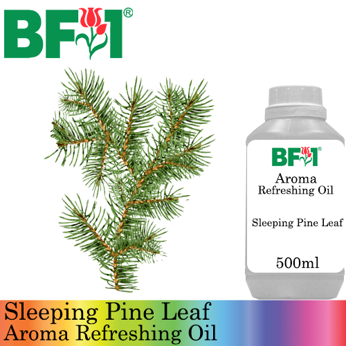 Aroma Refreshing Oil - Sleeping Pine Leaf - 500ml