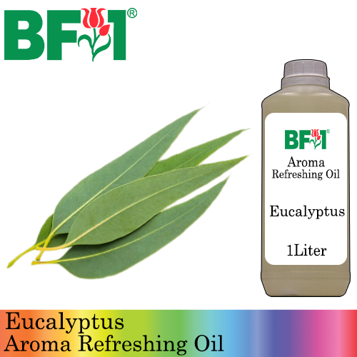 Aroma Refreshing Oil - Eucalyptus - 1L