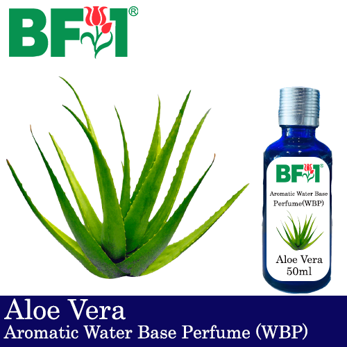Aromatic Water Base Perfume (WBP) - Aloe Vera - 50ml Diffuser Perfume