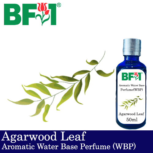 Aromatic Water Base Perfume (WBP) - Agarwood Leaf - 50ml Diffuser Perfume