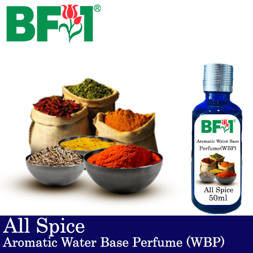 Aromatic Water Base Perfume (WBP) - All Spice - 50ml Diffuser Perfume