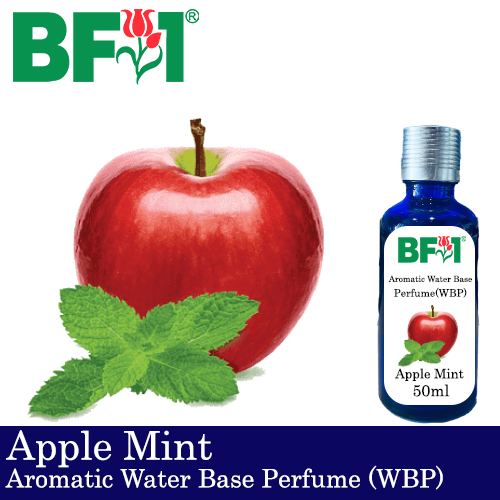 Aromatic Water Base Perfume (WBP) - Apple Mint - 50ml Diffuser Perfume