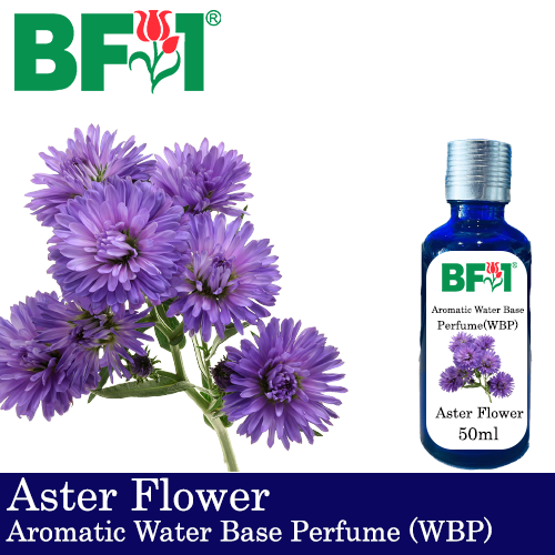 Aromatic Water Base Perfume (WBP) - Aster Flower - 50ml Diffuser Perfume